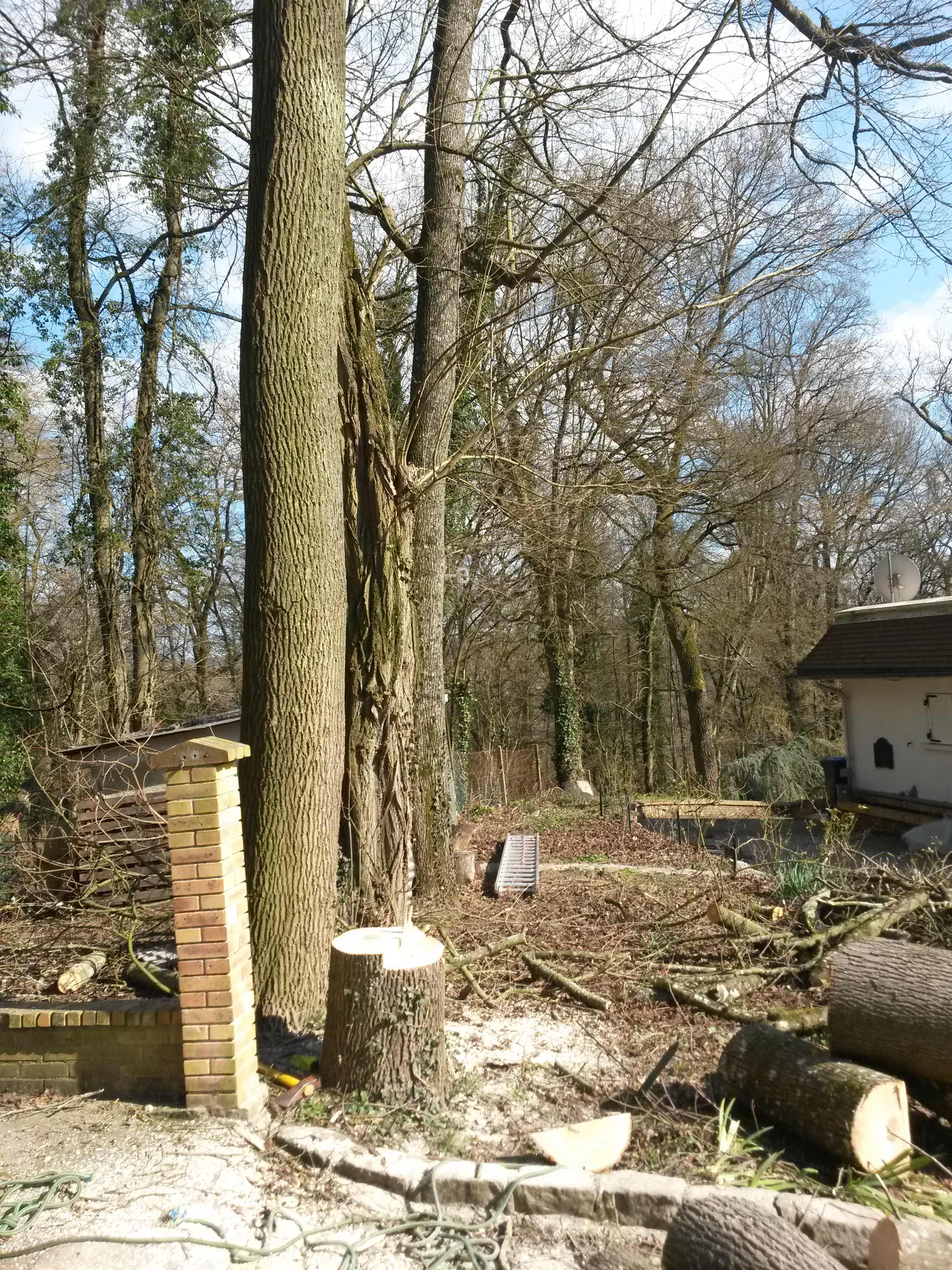 elagage abattage La Ferté sous Jouarre 77260